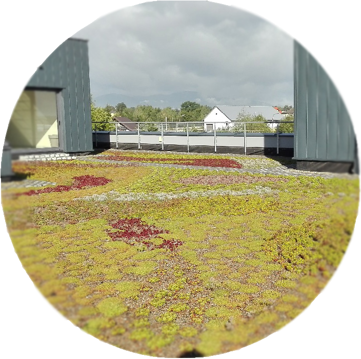 GREEN ROOF